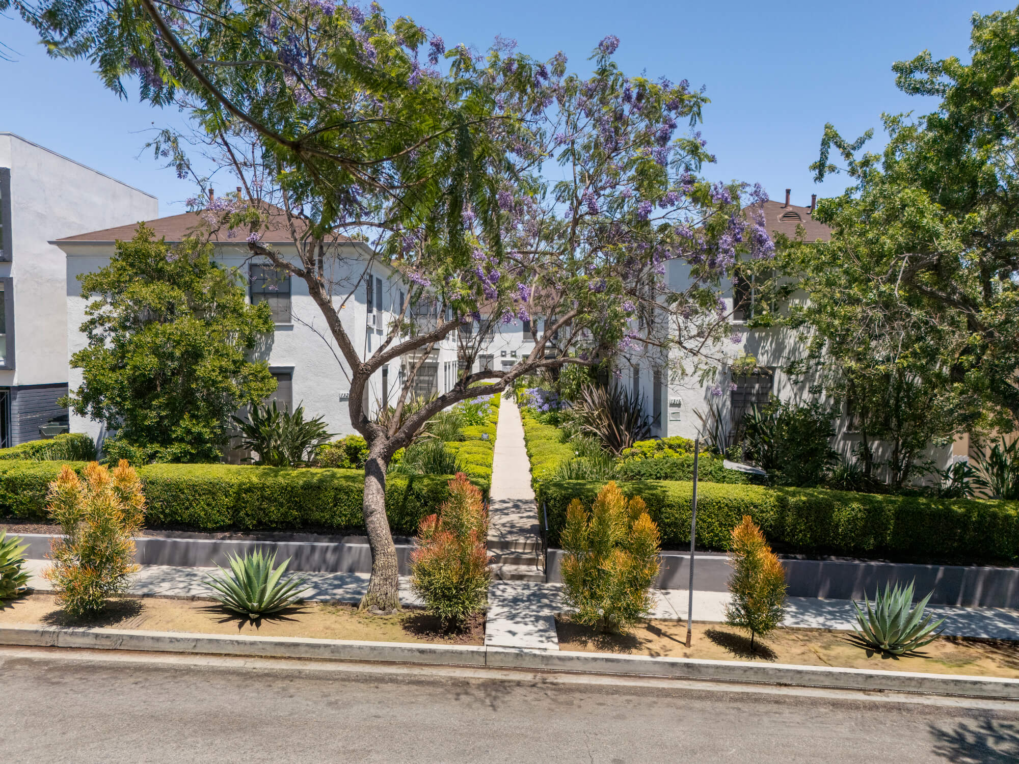 Landscaped apartment community with contemporary residential buildings, mature trees, and drought-tolerant plantings along a quiet street.