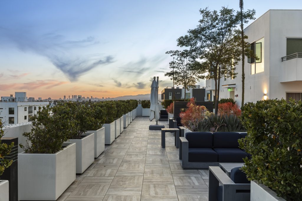 Luxury rooftop terrace with outdoor lounge seating, landscaped planters, and panoramic city views at sunset.